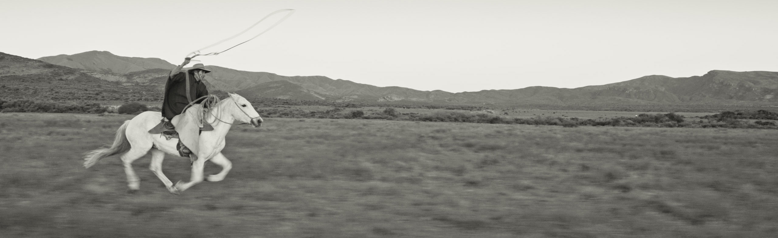 GAUCHO GAUCHO_slide_poster