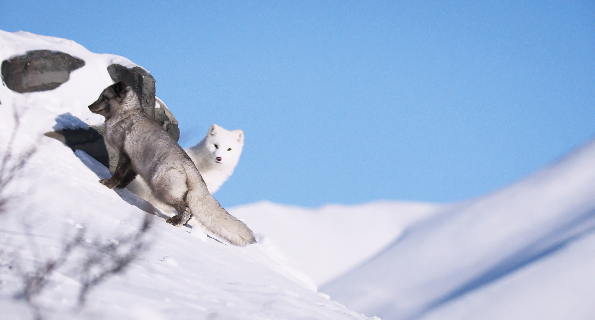 KINA & YUK_slide_poster