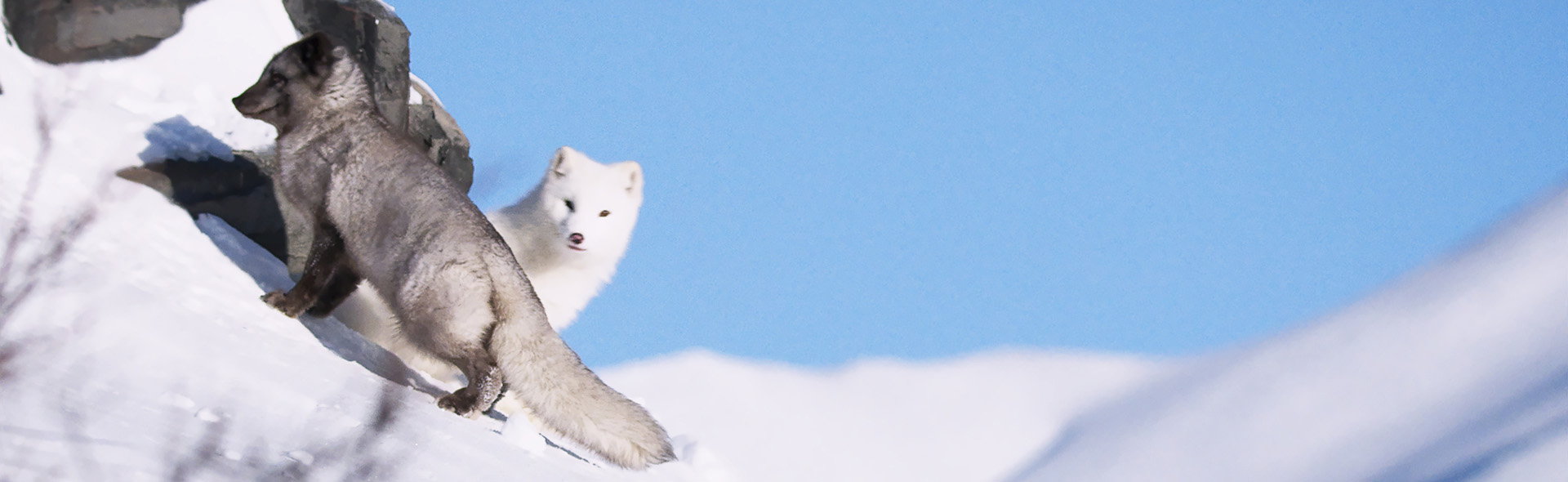 KINA & YUK_slide_poster